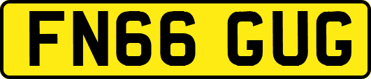 FN66GUG