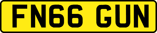 FN66GUN