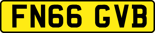FN66GVB