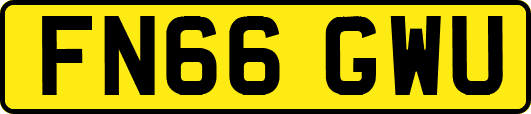 FN66GWU