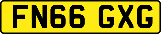 FN66GXG