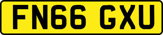FN66GXU