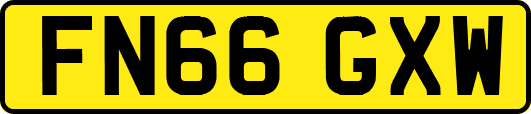 FN66GXW