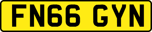 FN66GYN