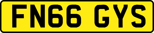 FN66GYS