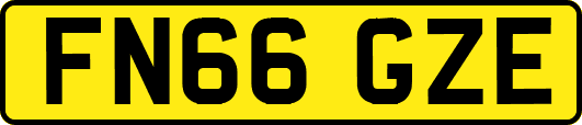 FN66GZE