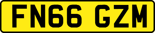 FN66GZM