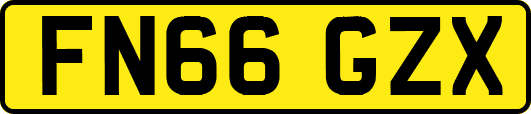 FN66GZX