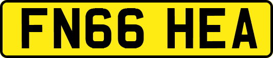 FN66HEA