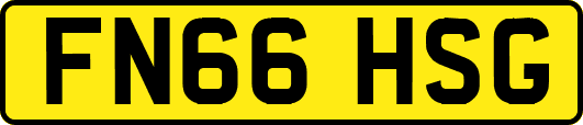 FN66HSG