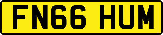 FN66HUM