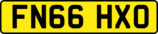 FN66HXO