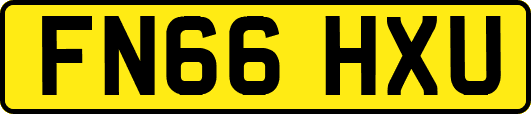 FN66HXU