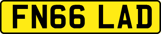 FN66LAD