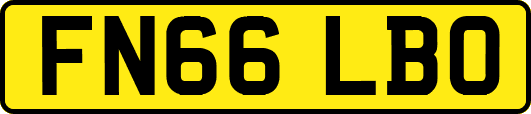 FN66LBO