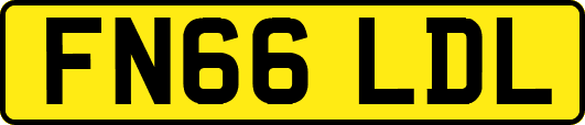 FN66LDL