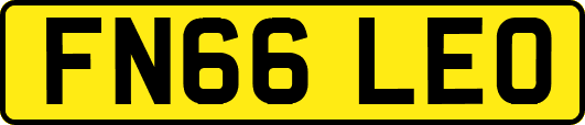 FN66LEO