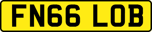 FN66LOB