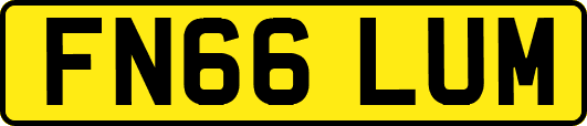 FN66LUM