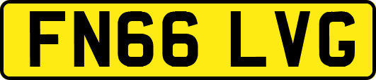 FN66LVG