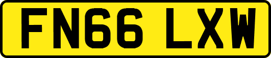 FN66LXW