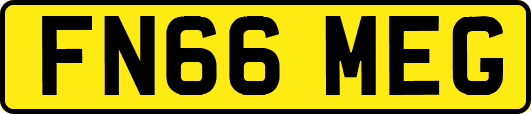 FN66MEG