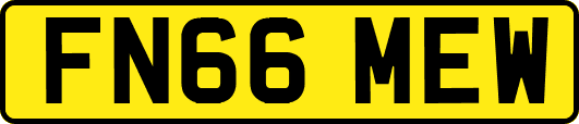 FN66MEW