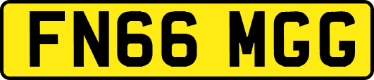 FN66MGG