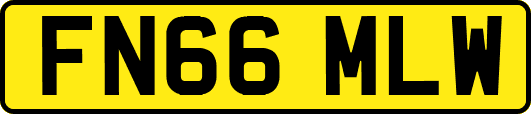 FN66MLW