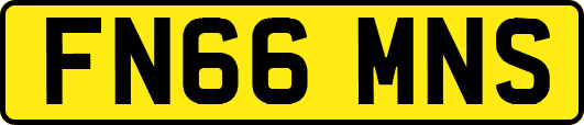FN66MNS