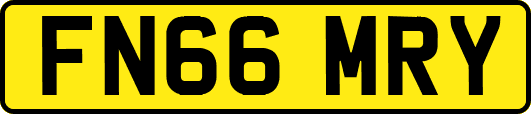 FN66MRY