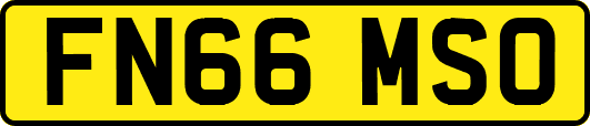 FN66MSO
