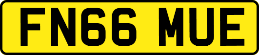 FN66MUE