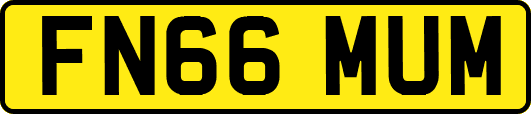 FN66MUM
