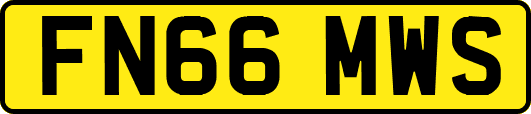 FN66MWS