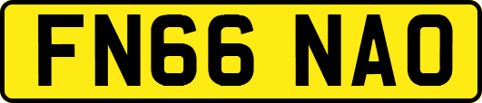 FN66NAO