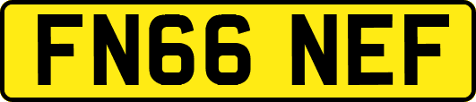FN66NEF