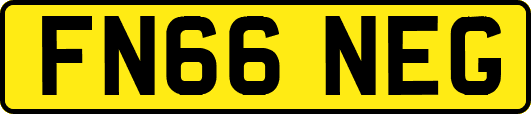 FN66NEG