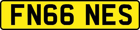 FN66NES