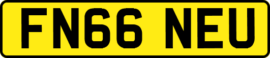 FN66NEU