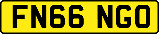 FN66NGO
