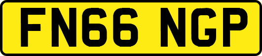 FN66NGP