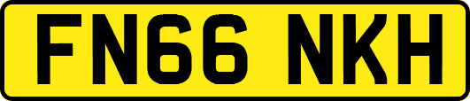 FN66NKH