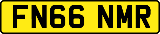 FN66NMR