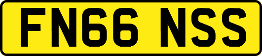 FN66NSS