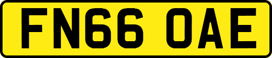 FN66OAE