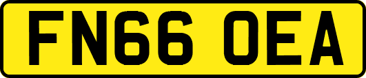 FN66OEA