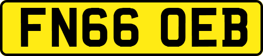 FN66OEB