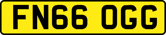 FN66OGG
