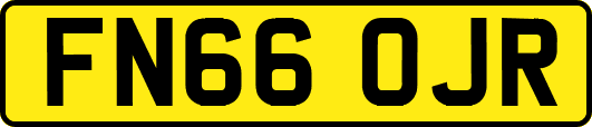 FN66OJR